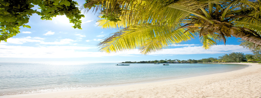Holiday to Mauritius for pristine beaches and palm trees